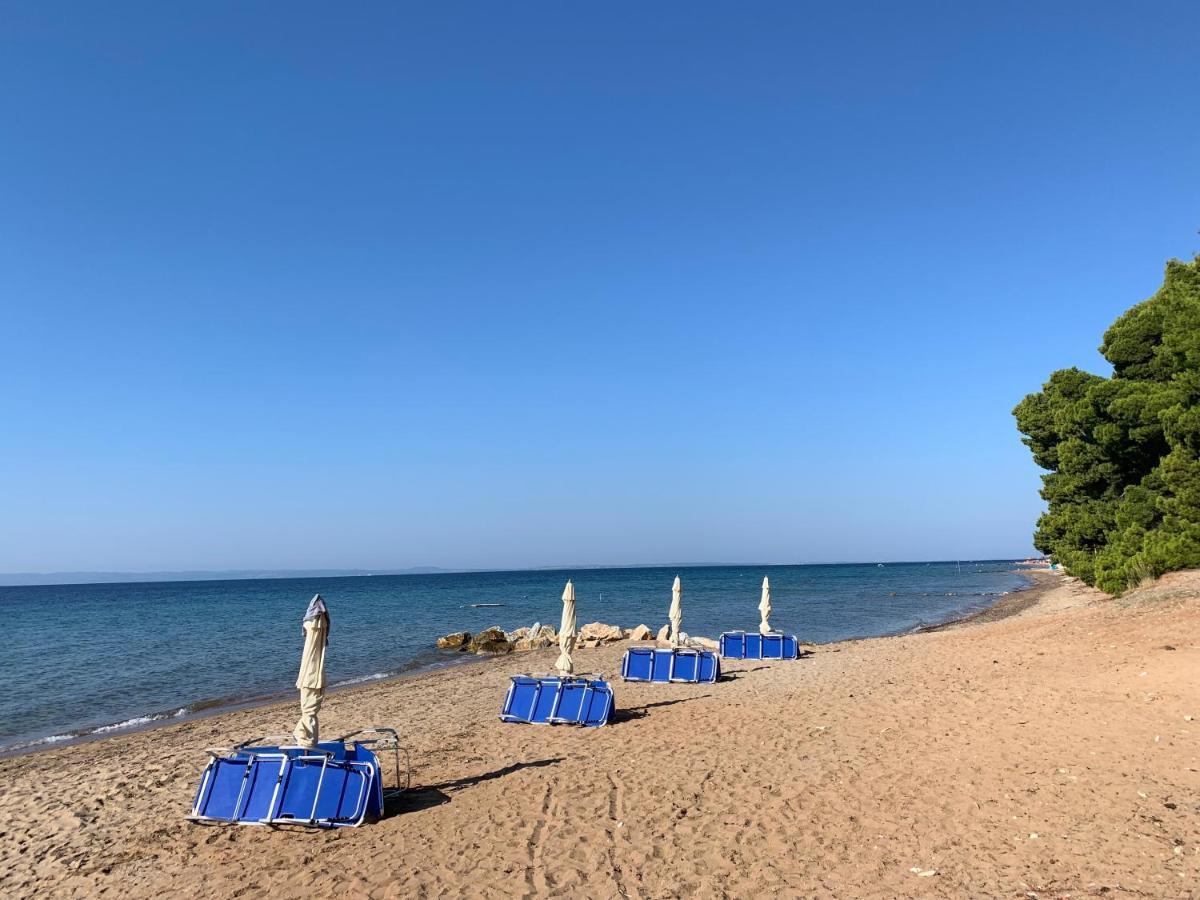 Apartment Sithonia *